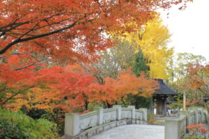 東大寺別院阿弥陀寺3